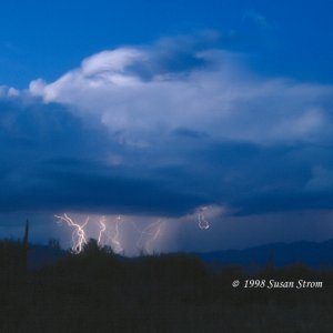 Nature Force Pic  73
