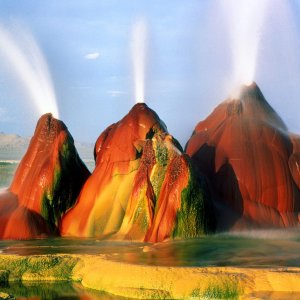 Nature Force Pic  21