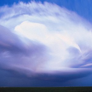 Nature Force Pic  43