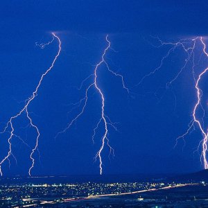 Nature Force Pic  30