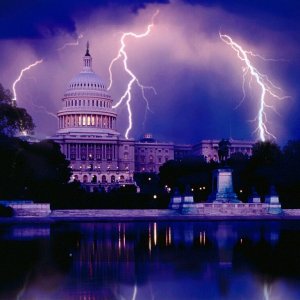 Nature Force Pic  12