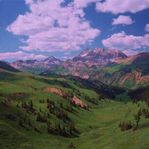 Nature Pic  1006