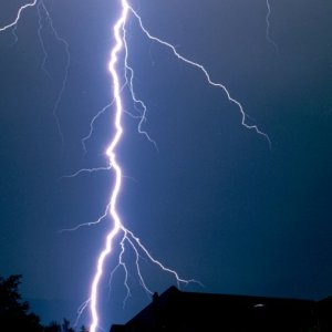 Nature Force Pic  64