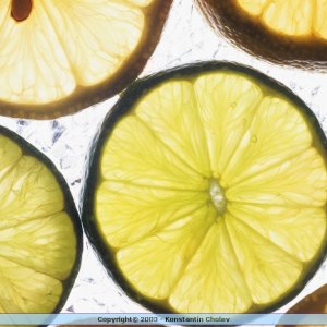 Nature Pic  1001