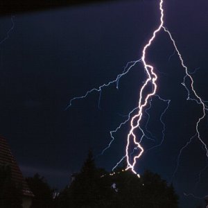 Nature Force Pic  63