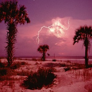 Nature Force Pic  53