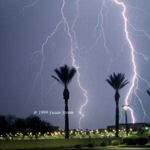 Nature Force Pic  78
