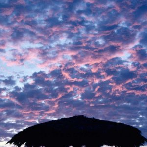 Nature Force Pic  116