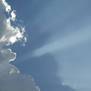 Nature Force Pic  92