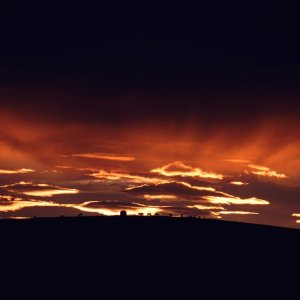 Nature Force Pic  85
