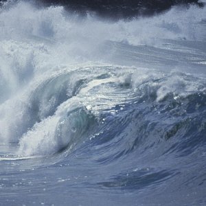 Nature Force Pic  31