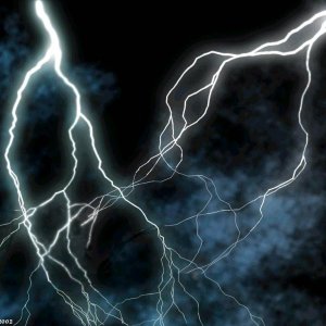 Nature Force Pic  17