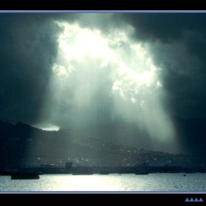 Nature Force Pic  94