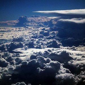 Nature Force Pic  115