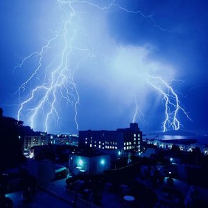 Nature Force Pic  10