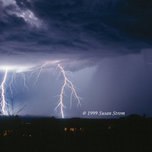 Nature Force Pic  70