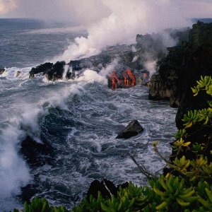 Nature Force Pic  29