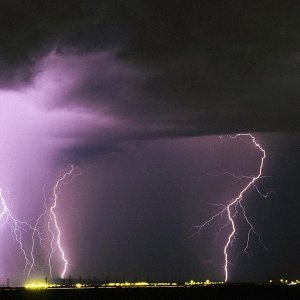 Nature Force Pic  110