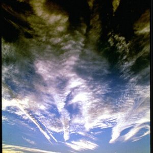 Nature Force Pic  90