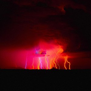 Nature Force Pic  60