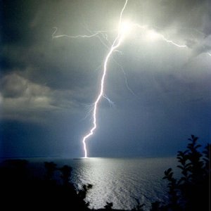 Nature Force Pic  91