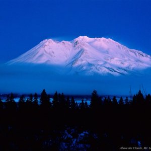 12274