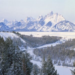 Nature Pic  1015