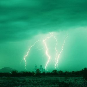 Nature Force Pic  11