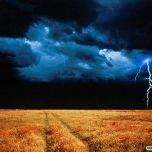 Nature Force Pic  113