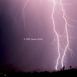 Nature Force Pic  81