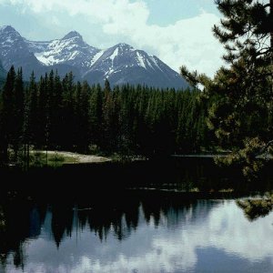 Nature Pic  1011