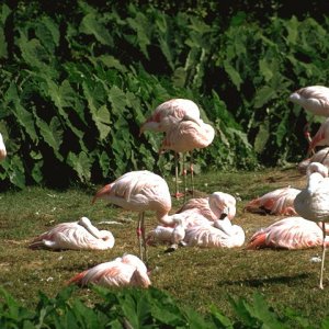 Nature Pic  1020