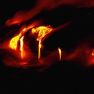 Nature Force Pic  24