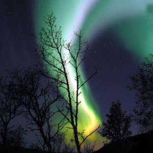 Nature Force Pic  95