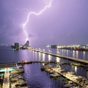 Nature Force Pic  9