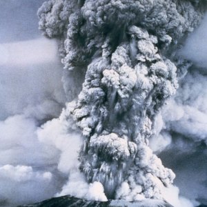 Nature Force Pic  120