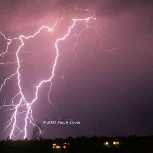 Nature Force Pic  75