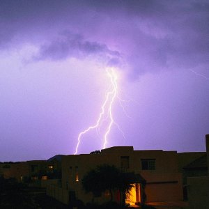 Nature Force Pic  101