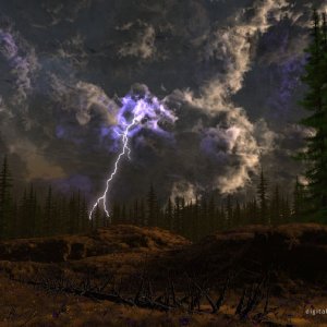 Nature Force Pic  18